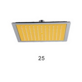 25